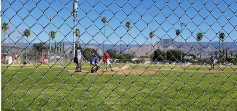 Ballfields in Community Park to be closed